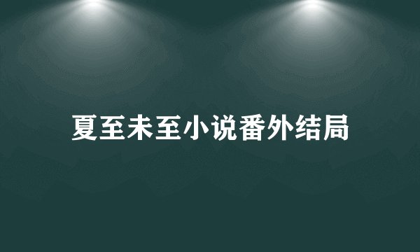 夏至未至小说番外结局