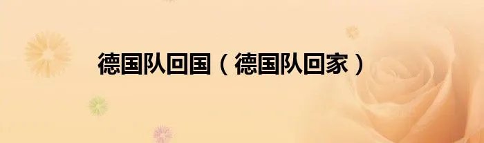 德国队回国（德国队回家）