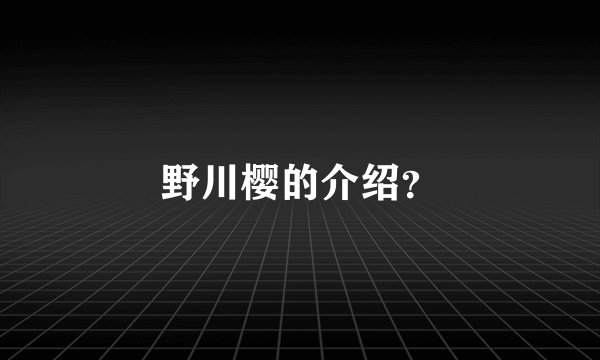 野川樱的介绍？