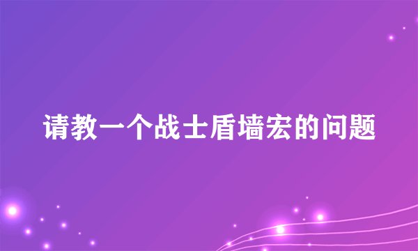 请教一个战士盾墙宏的问题