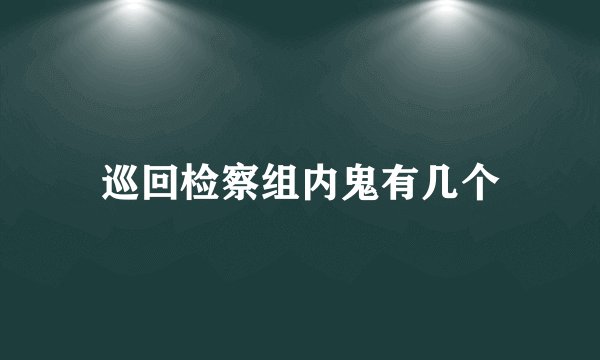 巡回检察组内鬼有几个