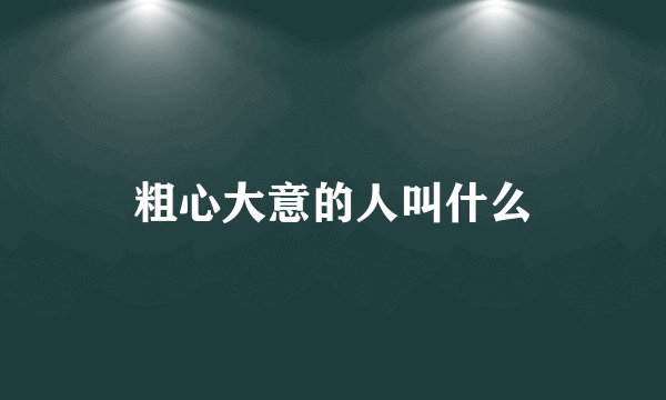 粗心大意的人叫什么