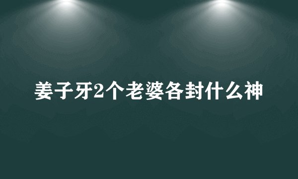 姜子牙2个老婆各封什么神