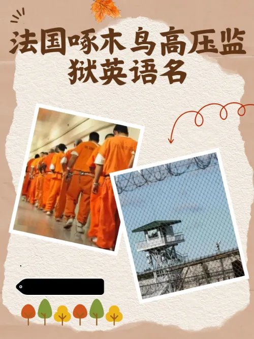 监狱高压啄木鸟怎么翻译?