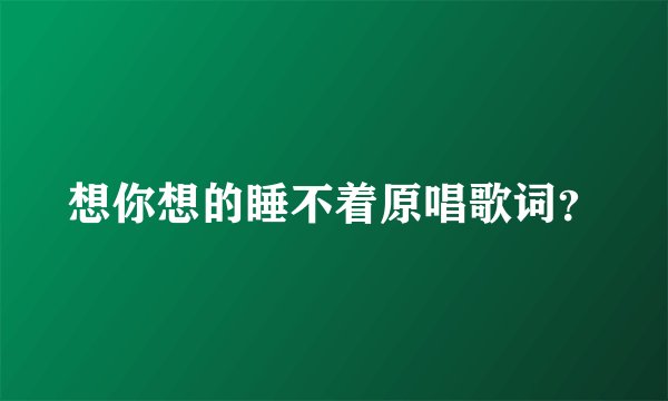 想你想的睡不着原唱歌词？