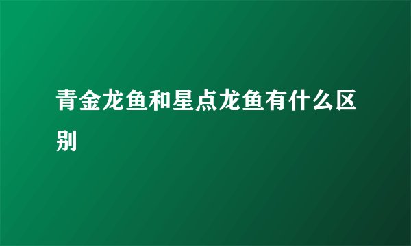 青金龙鱼和星点龙鱼有什么区别