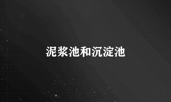 泥浆池和沉淀池