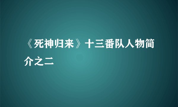 《死神归来》十三番队人物简介之二
