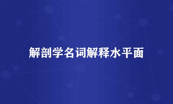 解剖学名词解释水平面