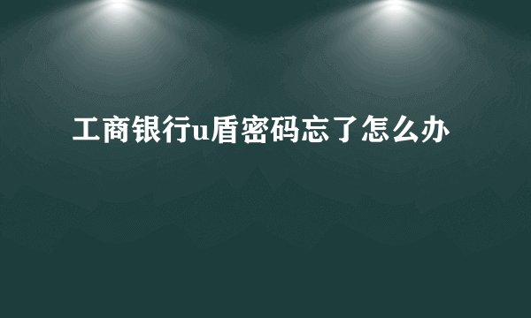 工商银行u盾密码忘了怎么办