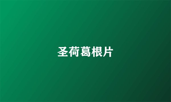 圣荷葛根片