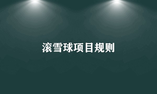 滚雪球项目规则
