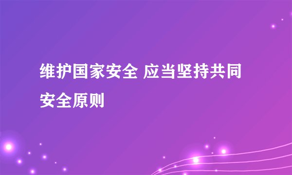 维护国家安全 应当坚持共同安全原则