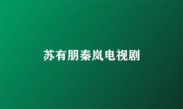 苏有朋秦岚电视剧