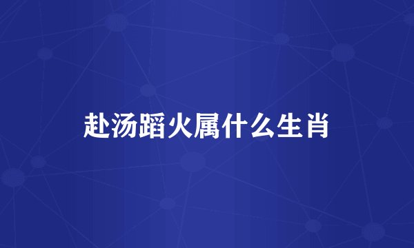 赴汤蹈火属什么生肖