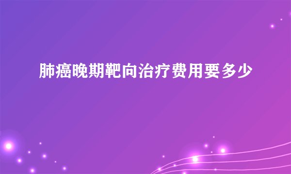 肺癌晚期靶向治疗费用要多少