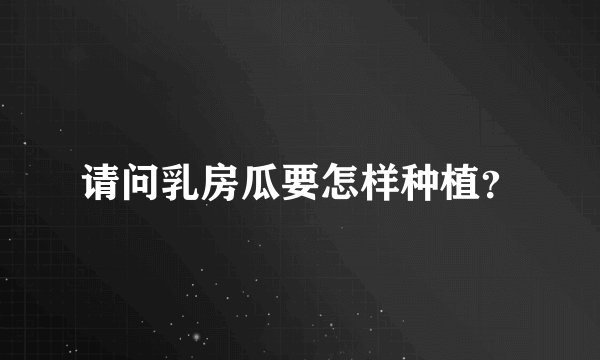 请问乳房瓜要怎样种植？