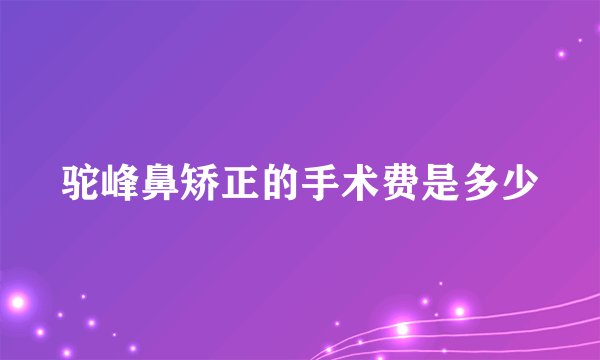 驼峰鼻矫正的手术费是多少