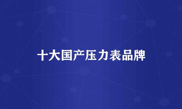 十大国产压力表品牌