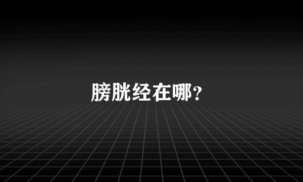 膀胱经在哪？