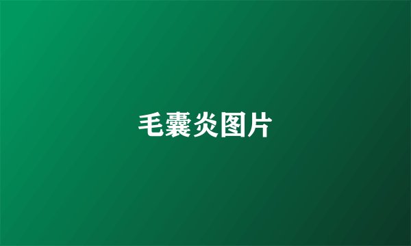 毛囊炎图片