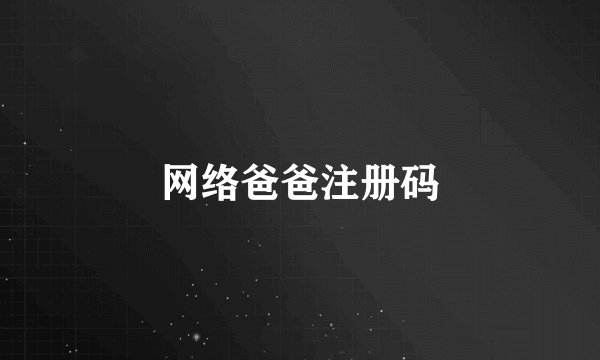 网络爸爸注册码