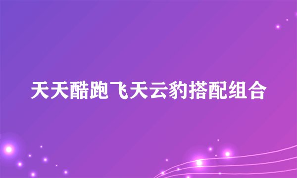 天天酷跑飞天云豹搭配组合