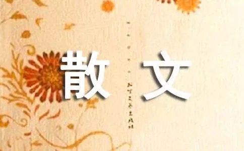 停不了的思念散文