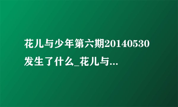 花儿与少年第六期20140530发生了什么_花儿与少年第6期看点爆点
