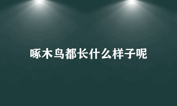 啄木鸟都长什么样子呢