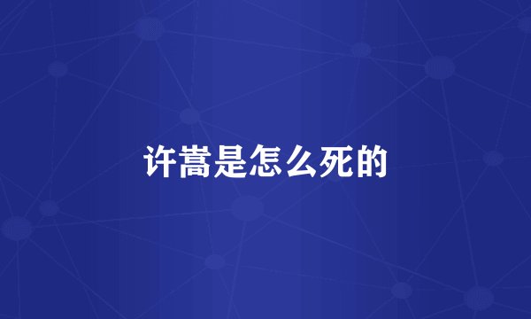 许嵩是怎么死的
