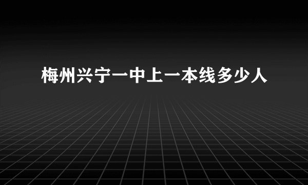梅州兴宁一中上一本线多少人
