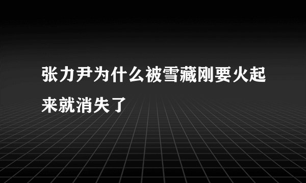 张力尹为什么被雪藏刚要火起来就消失了