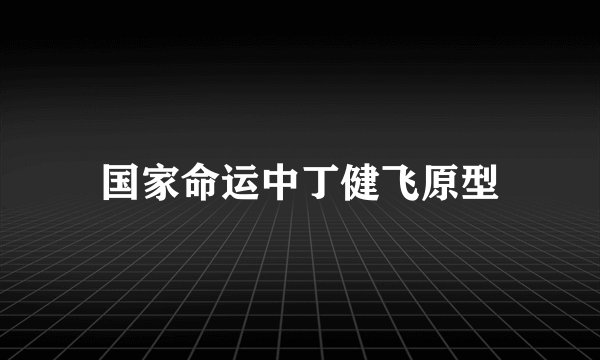 国家命运中丁健飞原型