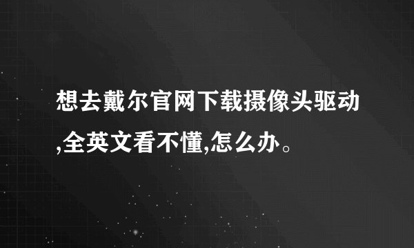 想去戴尔官网下载摄像头驱动,全英文看不懂,怎么办。