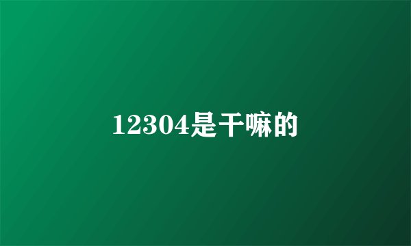 12304是干嘛的
