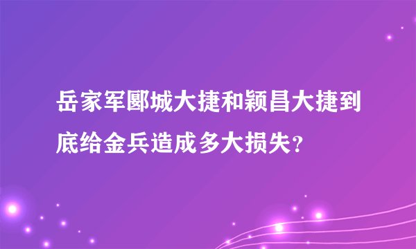岳家军郾城大捷和颖昌大捷到底给金兵造成多大损失?