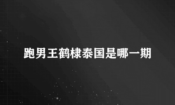 跑男王鹤棣泰国是哪一期