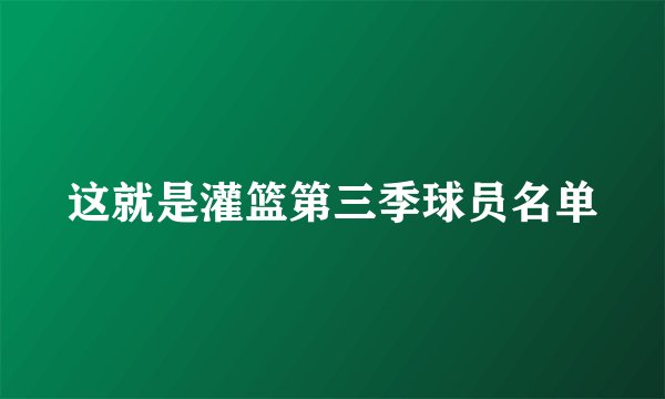 这就是灌篮第三季球员名单