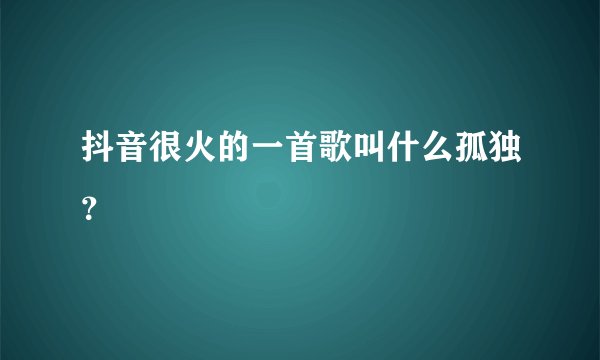 抖音很火的一首歌叫什么孤独?