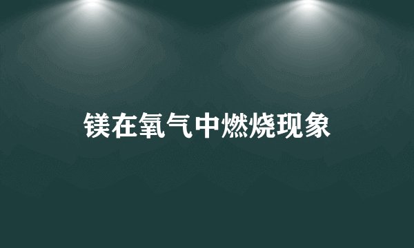 镁在氧气中燃烧现象