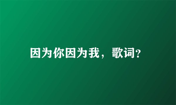 因为你因为我，歌词？