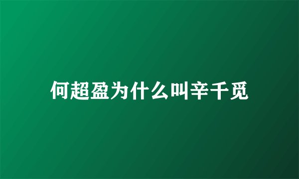 何超盈为什么叫辛千觅