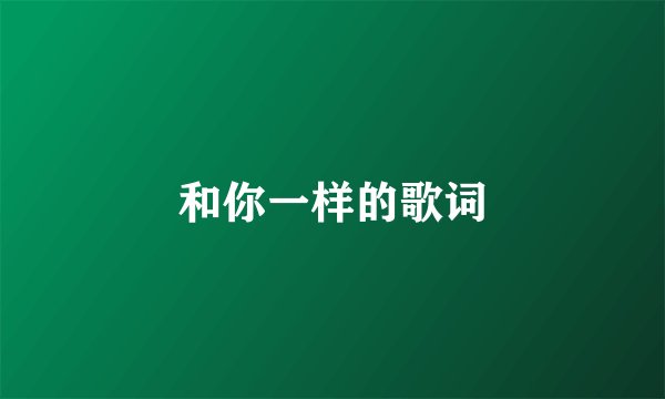 和你一样的歌词