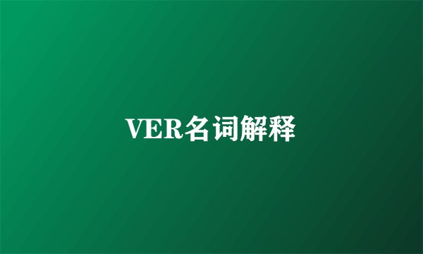 VER名词解释