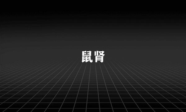 鼠肾