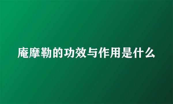 庵摩勒的功效与作用是什么