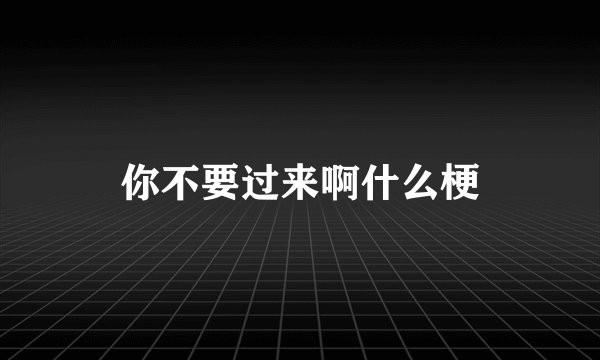 你不要过来啊什么梗