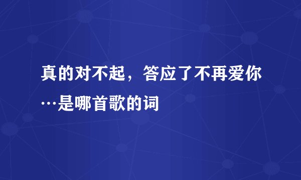 真的对不起，答应了不再爱你…是哪首歌的词