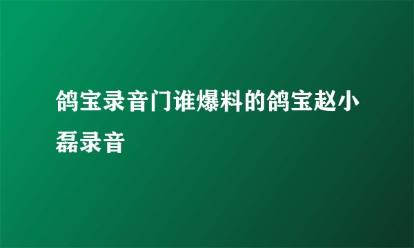 鸽宝录音门谁爆料的鸽宝赵小磊录音